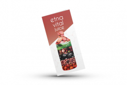 brochure etna vital juice