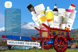 WELCOME TO ETNA