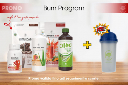 Burn Program
