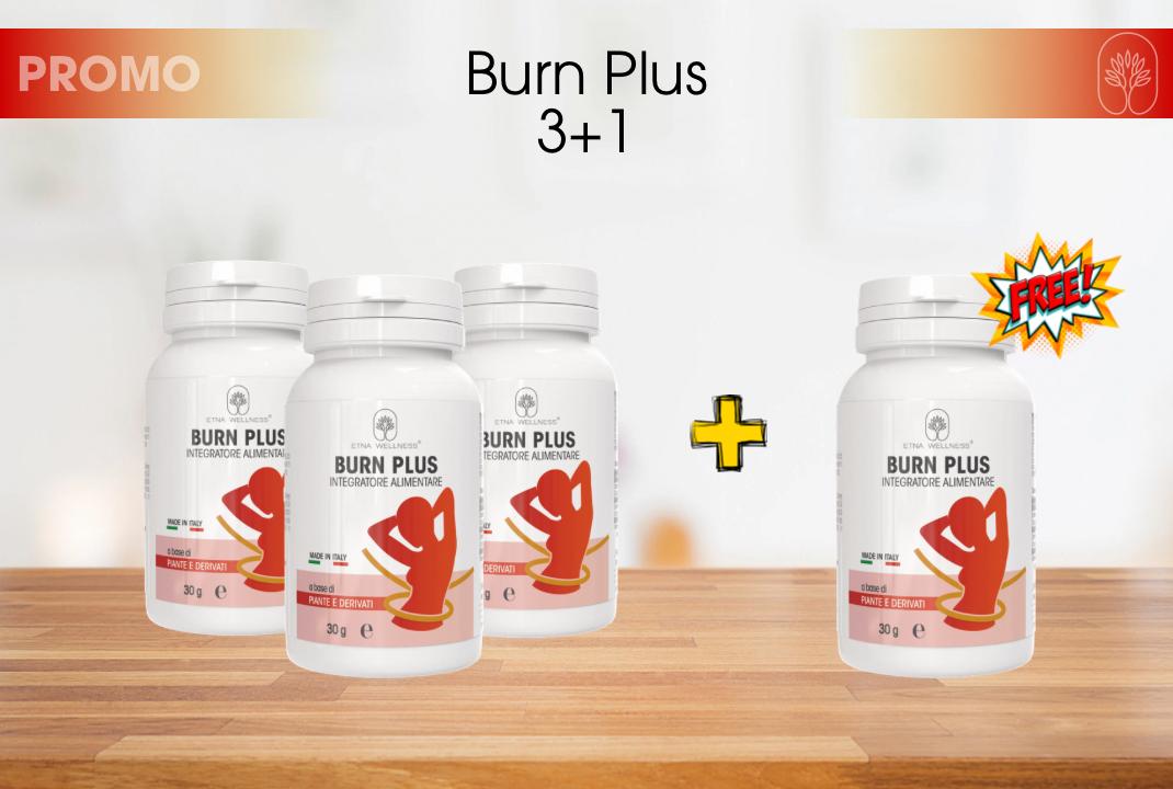 Burn Plus 3+1