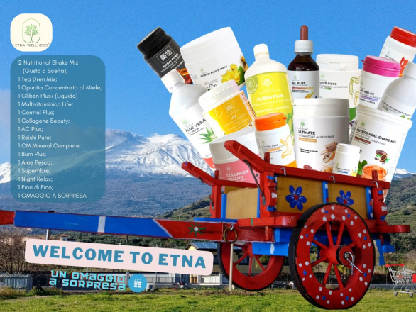 WELCOME TO ETNA