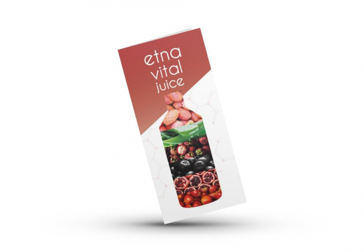 brochure etna vital juice